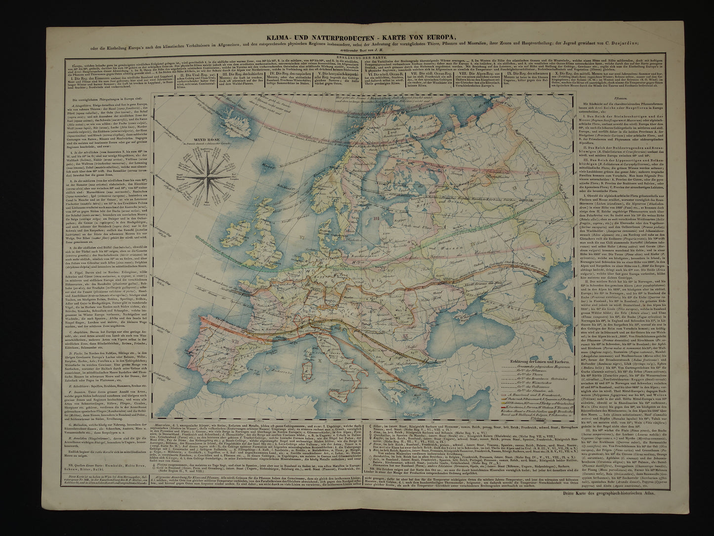 EUROPA grote oude kaart klimaat van Europa uit 1840 originele antieke landkaart Europees continent distributie planten dieren vintage poster