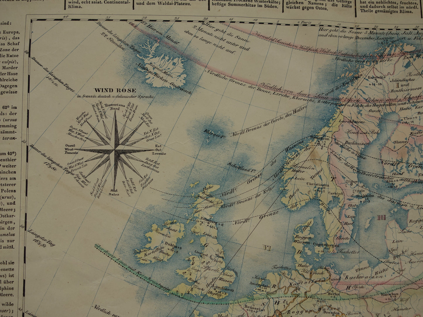 EUROPA grote oude kaart klimaat van Europa uit 1840 originele antieke landkaart Europees continent distributie planten dieren vintage poster