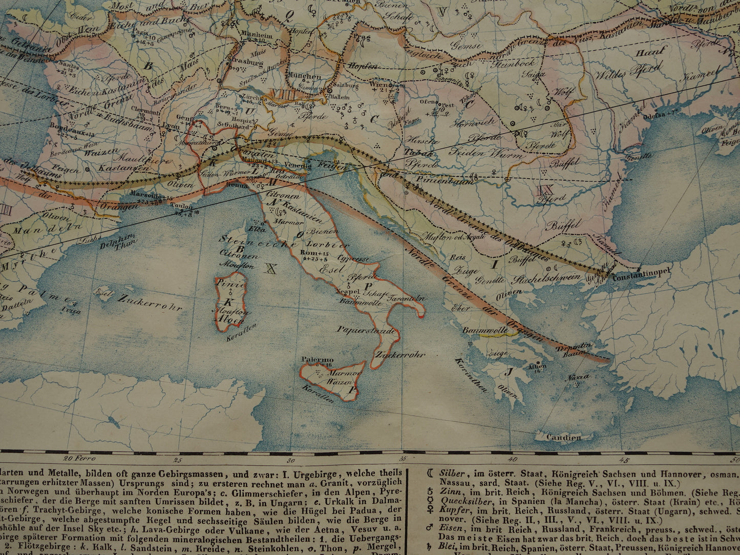 EUROPA grote oude kaart klimaat van Europa uit 1840 originele antieke landkaart Europees continent distributie planten dieren vintage poster