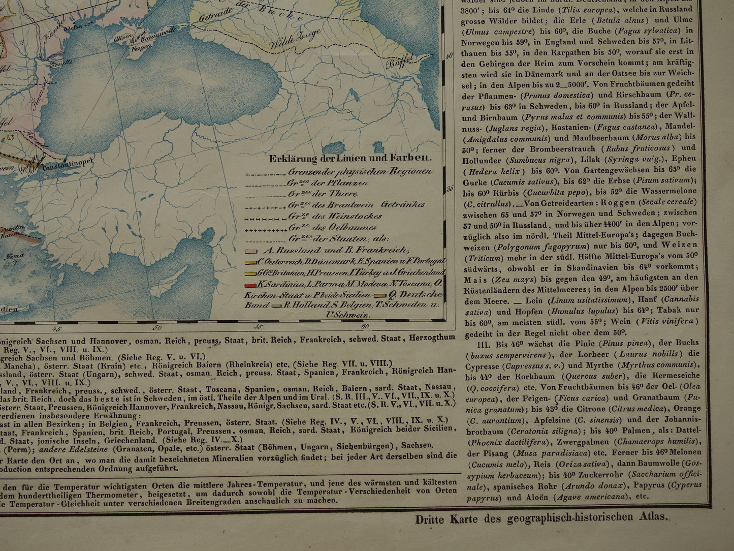 EUROPA grote oude kaart klimaat van Europa uit 1840 originele antieke landkaart Europees continent distributie planten dieren vintage poster