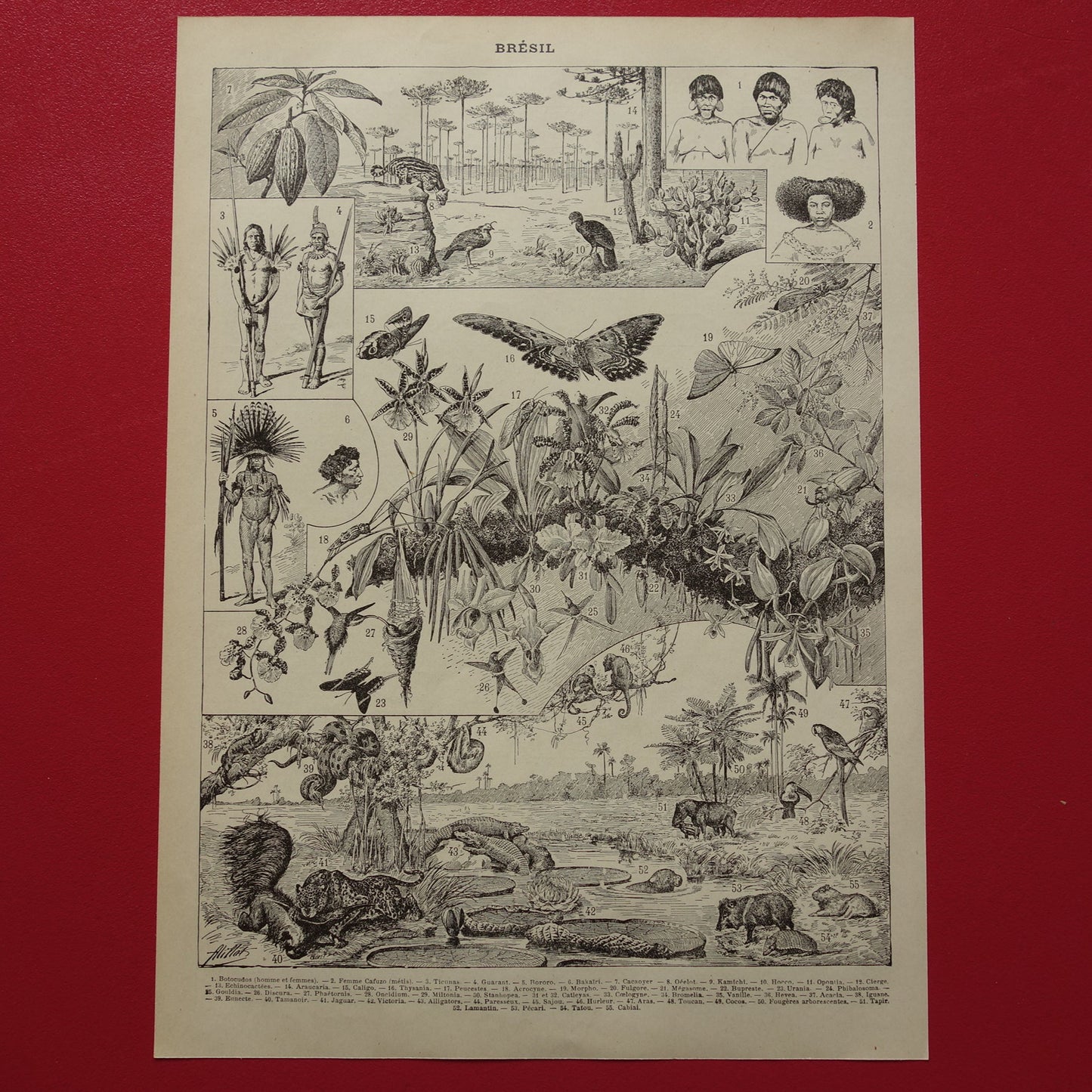 BRAZILIË Oude kaart van Brazilië uit 1902 Originele antieke landkaart vintage print Rio de Janeiro