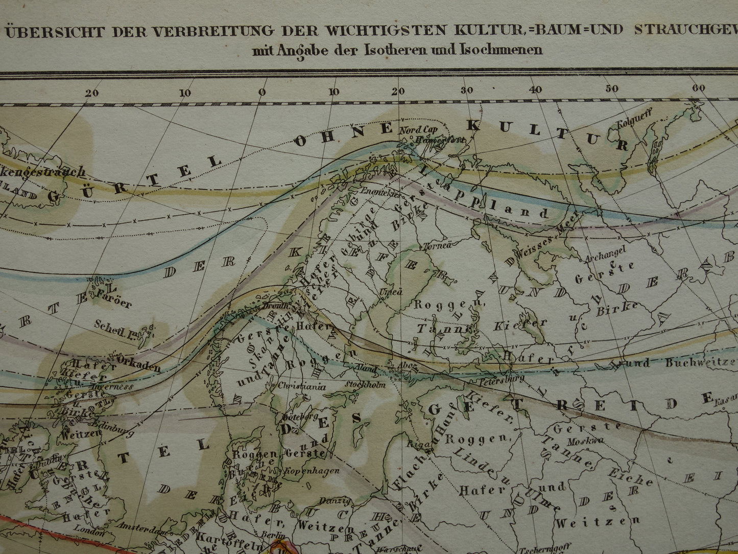BOTANISCHE kaart van Europa uit 1850 oude handgekleurde fytogeografie landkaart - vintage print