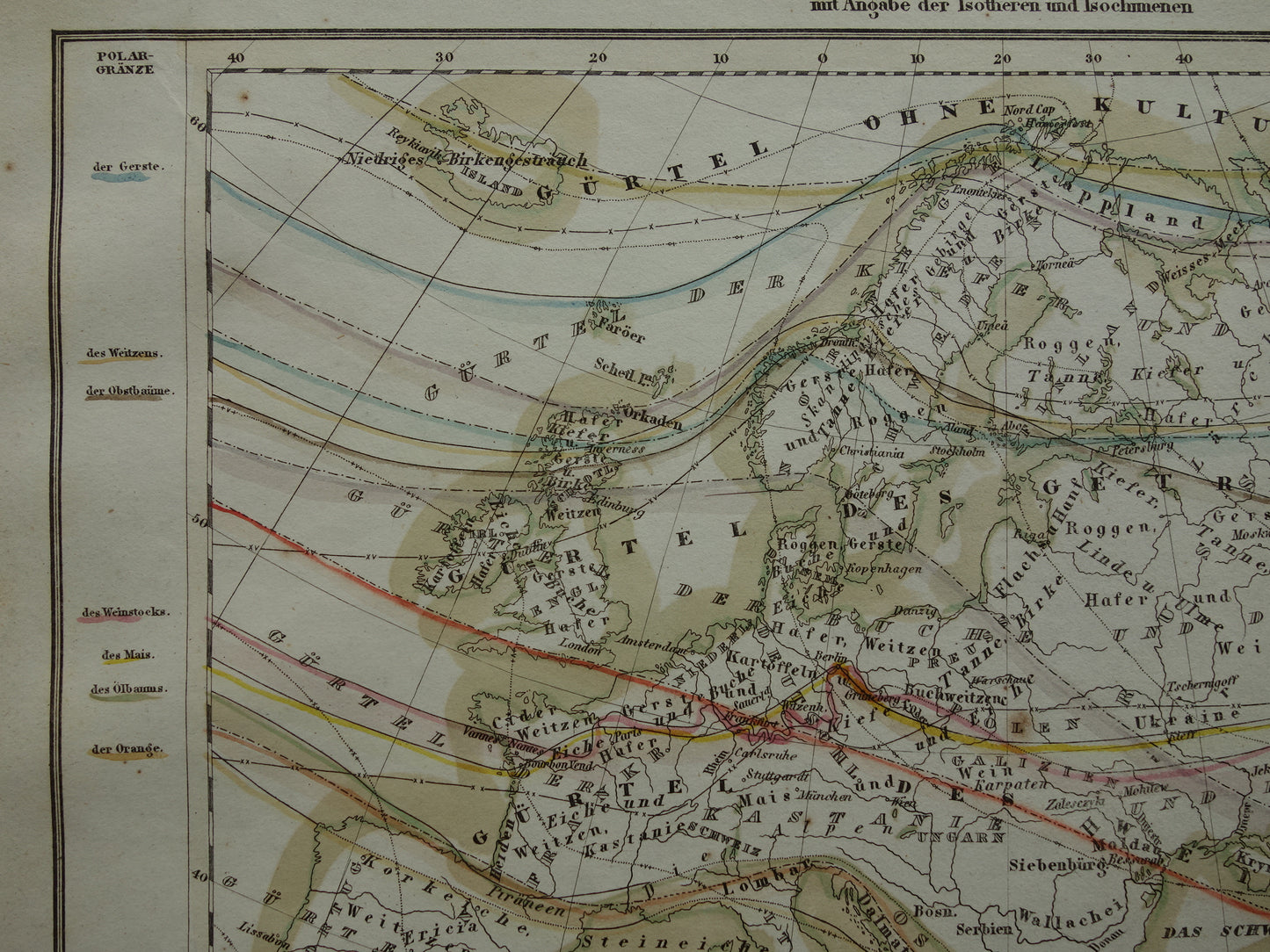 BOTANISCHE kaart van Europa uit 1850 oude handgekleurde fytogeografie landkaart - vintage print