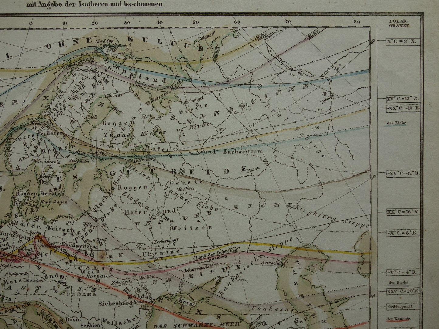 BOTANISCHE kaart van Europa uit 1850 oude handgekleurde fytogeografie landkaart - vintage print