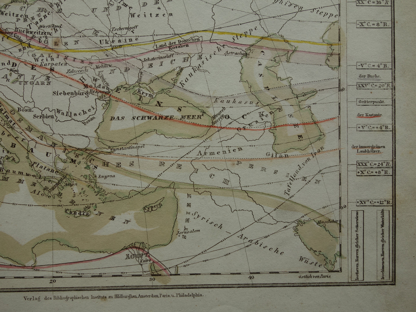 BOTANISCHE kaart van Europa uit 1850 oude handgekleurde fytogeografie landkaart - vintage print