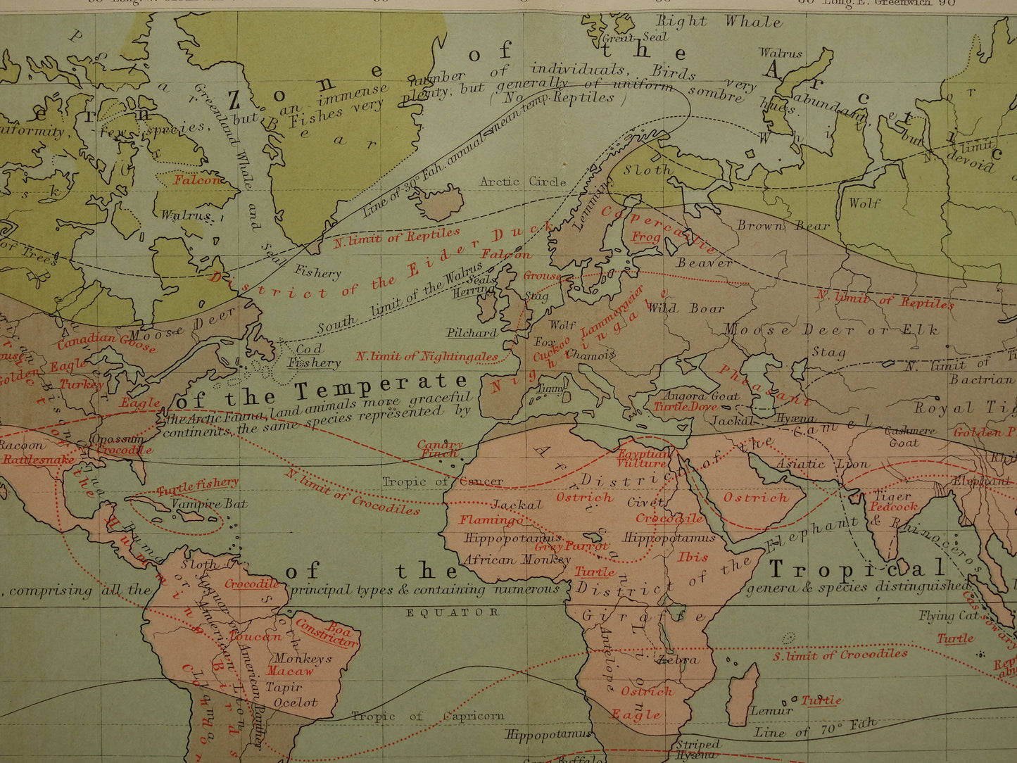 Oude wereldkaart over verdeling van dieren geïllustreerd met bergtoppen Originele antieke Engelse kaart Vintage fauna landkaarten