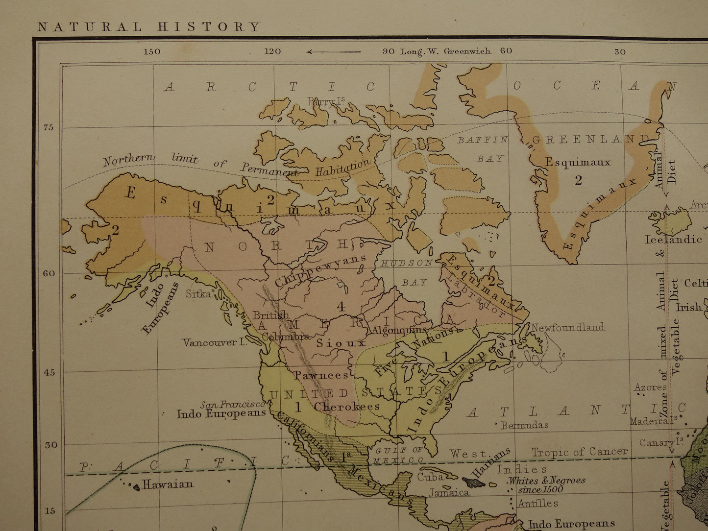 Vintage WERELDKAART oude etnografische kaart van de Wereld uit 1879 Antieke print Antropologie Volkenkunde Ethnologie Menselijke Rassen