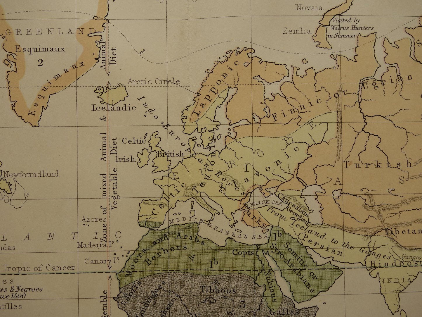Vintage WERELDKAART oude etnografische kaart van de Wereld uit 1879 Antieke print Antropologie Volkenkunde Ethnologie Menselijke Rassen