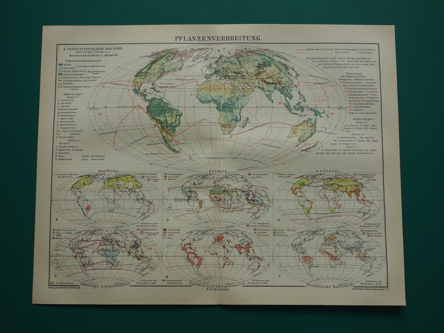 BOTANISCHE WERELDKAART 1921 oude Duitse fytogeografie kaart over gecultiveerde planten antieke plantkunde landkaart vintage gewassen plantengeografie