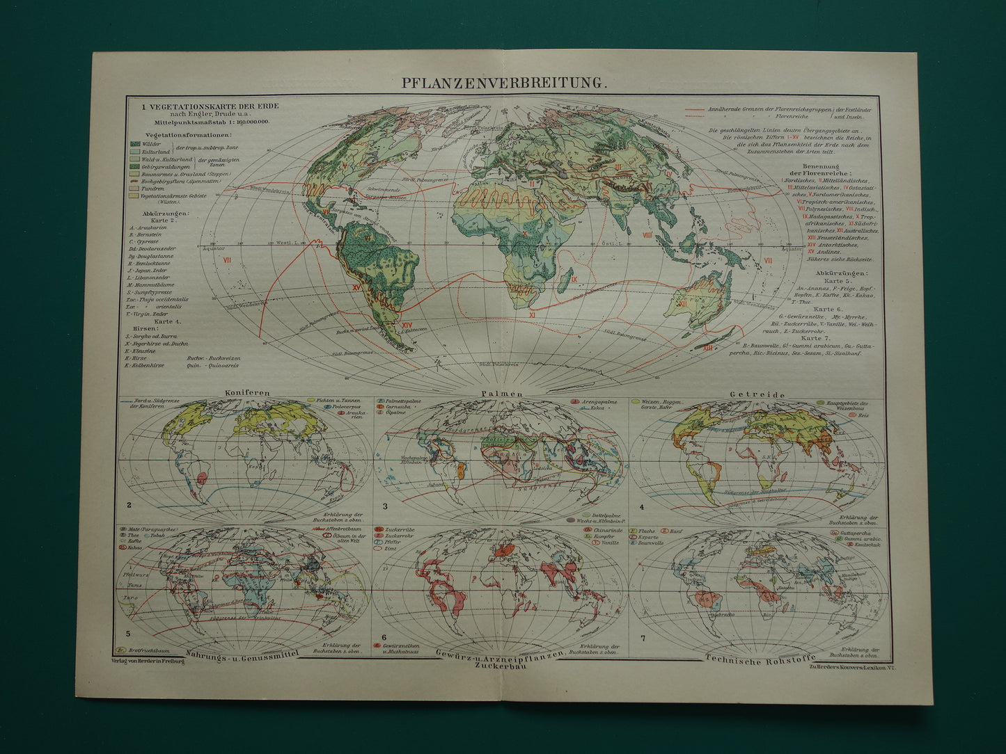 BOTANISCHE WERELDKAART 1921 oude Duitse fytogeografie kaart over gecultiveerde planten antieke plantkunde landkaart vintage gewassen plantengeografie