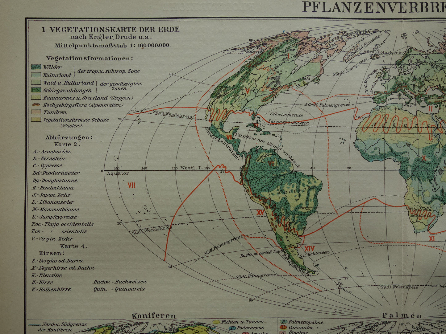 BOTANISCHE WERELDKAART 1921 oude Duitse fytogeografie kaart over gecultiveerde planten antieke plantkunde landkaart vintage gewassen plantengeografie