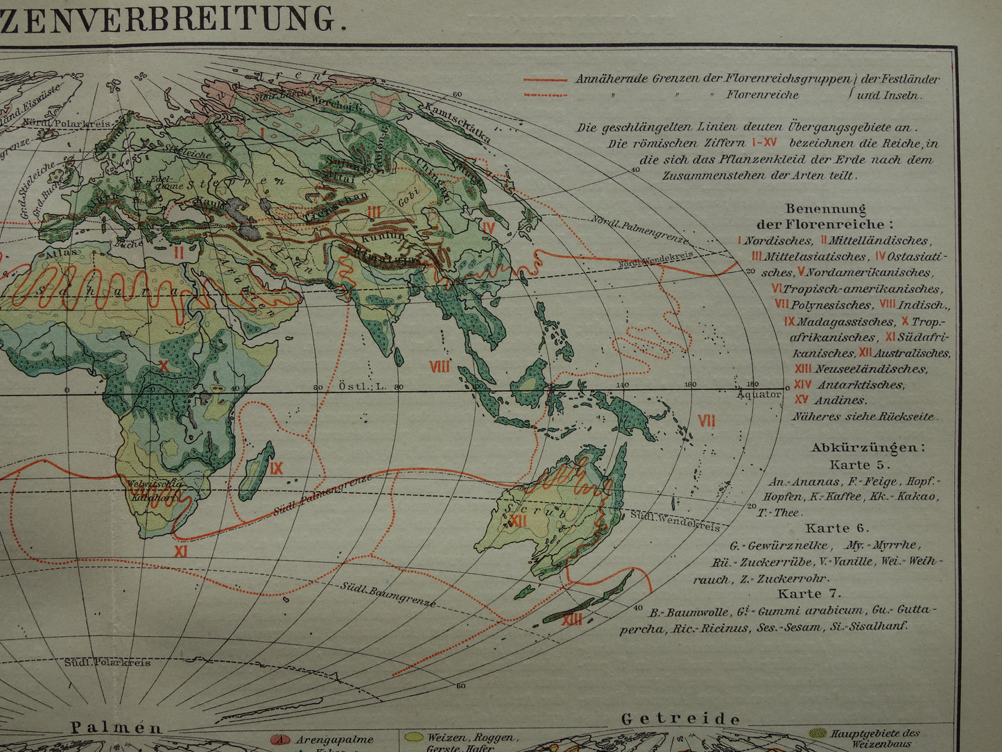 BOTANISCHE WERELDKAART 1921 oude Duitse fytogeografie kaart over gecultiveerde planten antieke plantkunde landkaart vintage gewassen plantengeografie
