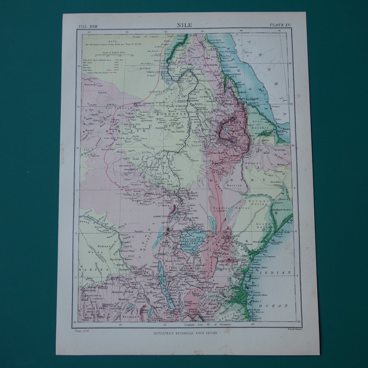 Rivier de Nijl oude kaart van bovenloop Nijl originele antieke Engelse landkaart uit 1884 vintage kaarten Soedan Victoriameer