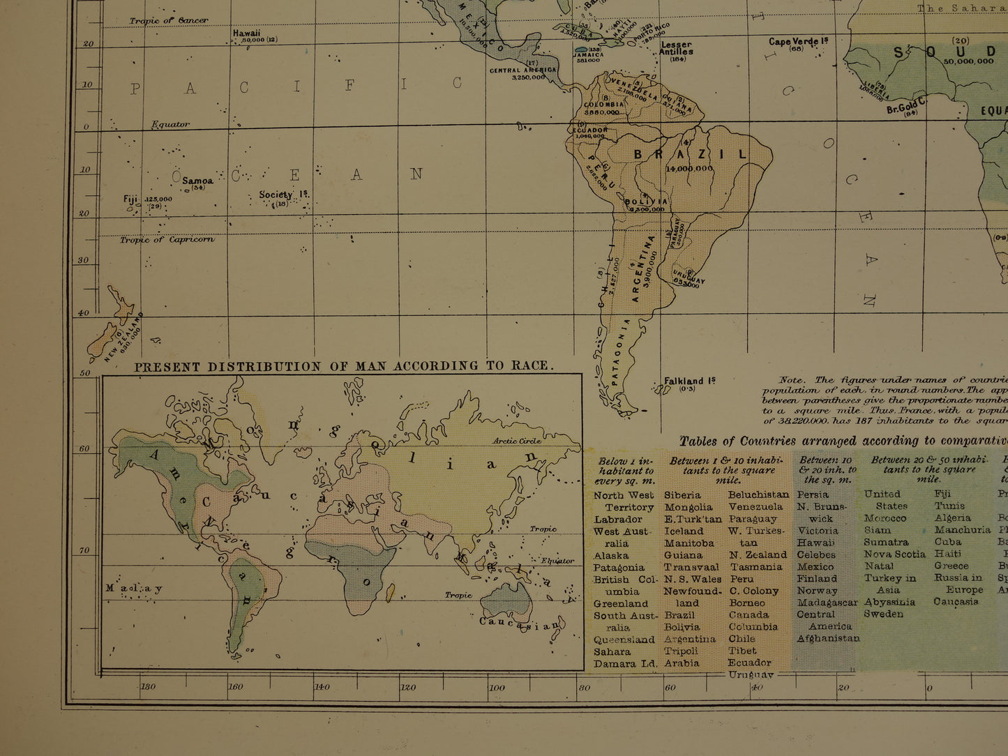 WERELDKAART grote antieke kaart met Wereldkaarten Bevolkingsdichtheid Verspreiding Flora en Fauna 1890 originele 130+ jaar oude print poster