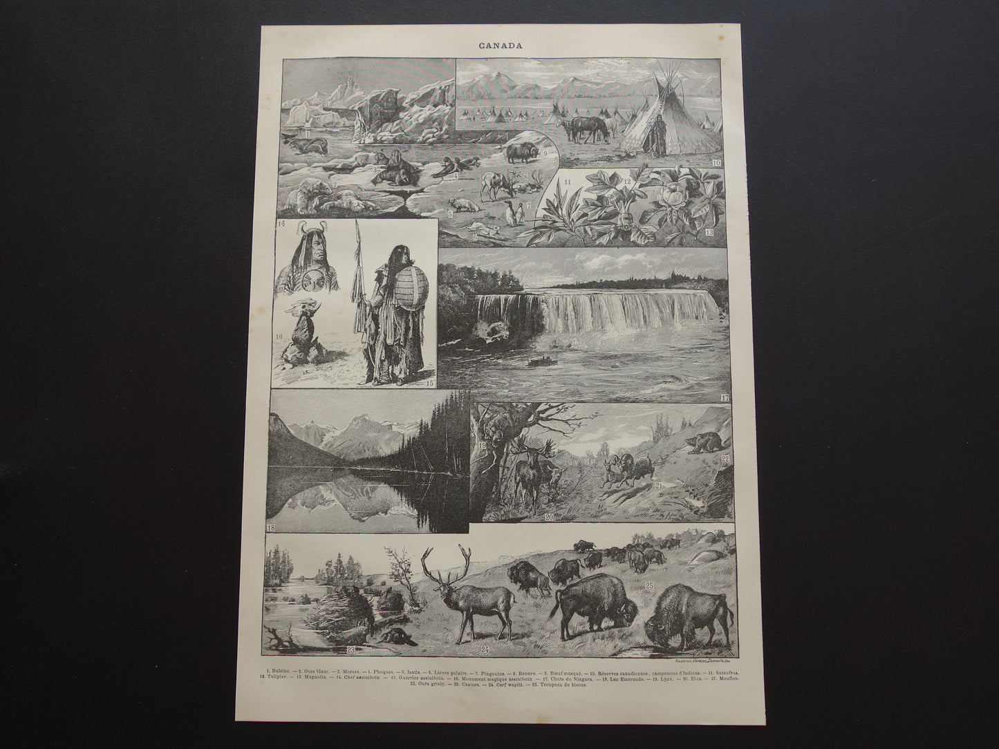 CANADA Oude landkaart van Canada uit 1902 Originele antieke kaart vintage print