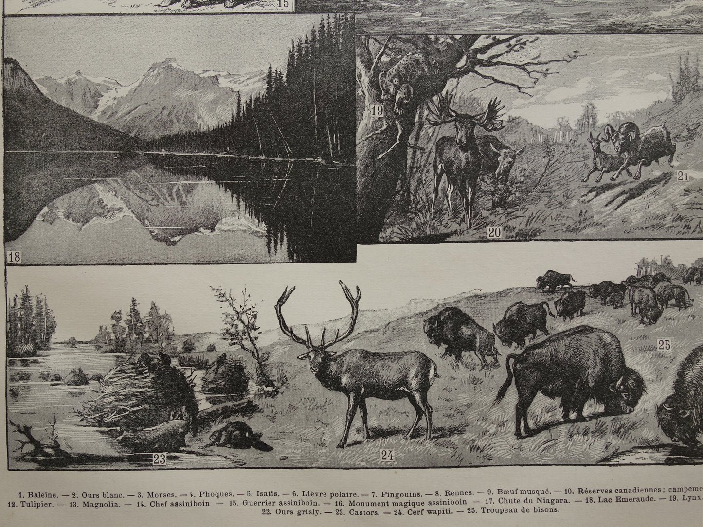 CANADA Oude landkaart van Canada uit 1902 Originele antieke kaart vintage print