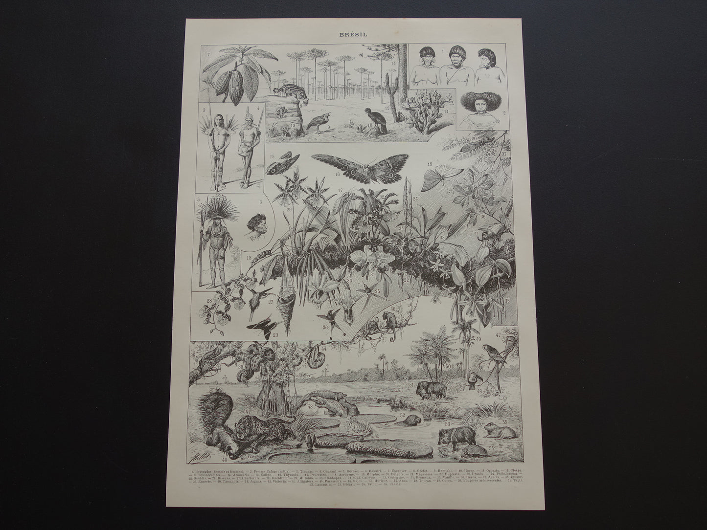 BRAZILIË Oude kaart van Brazilië uit 1902 Originele antieke landkaart vintage print Rio de Janeiro