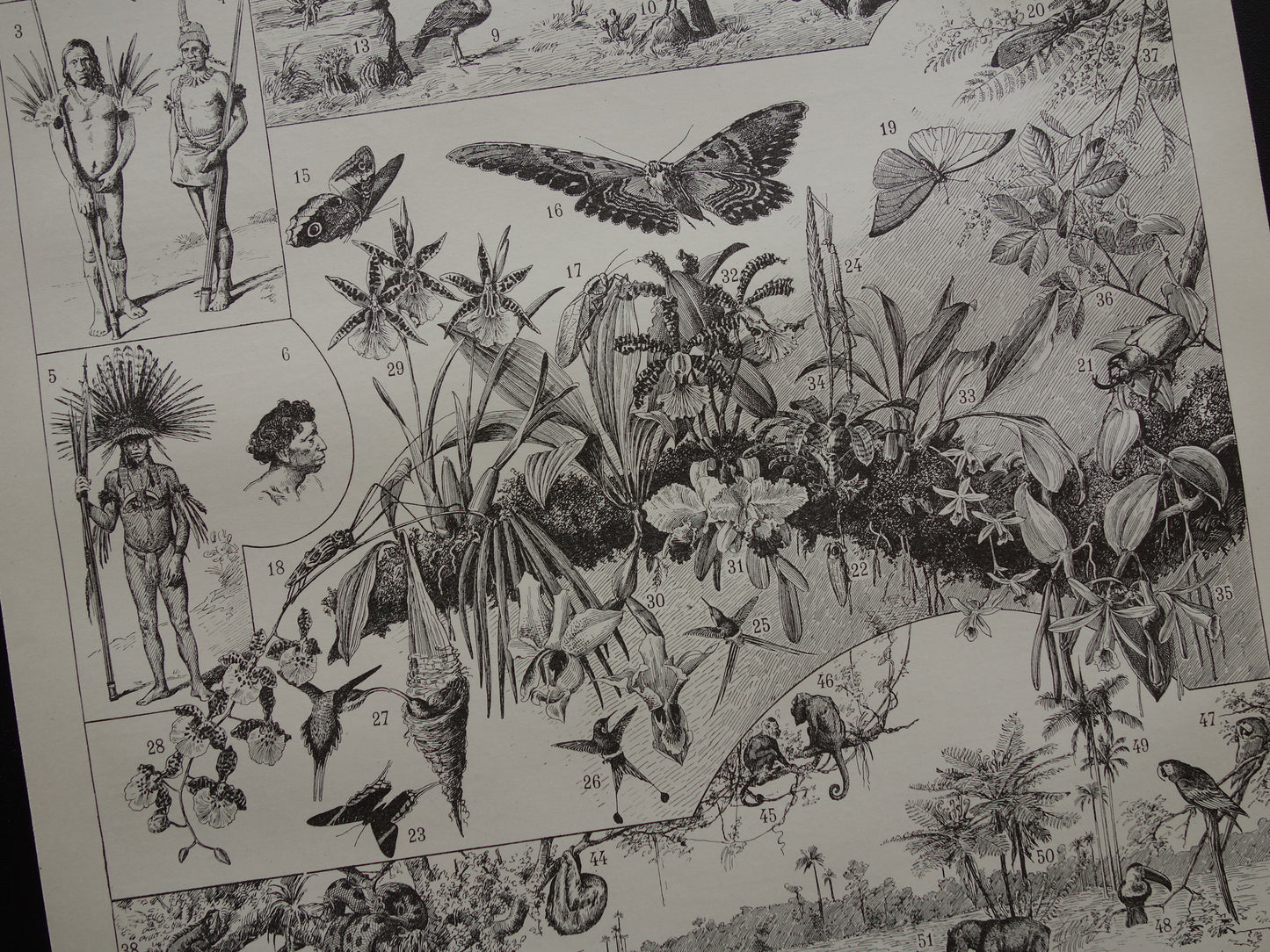 BRAZILIË Oude kaart van Brazilië uit 1902 Originele antieke landkaart vintage print Rio de Janeiro