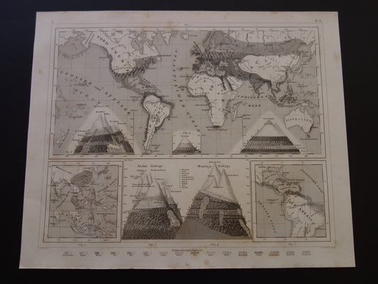 Antieke WERELDKAART oude kaart van de Wereld uit 1849 Landbouw Gewassen Agricultuur