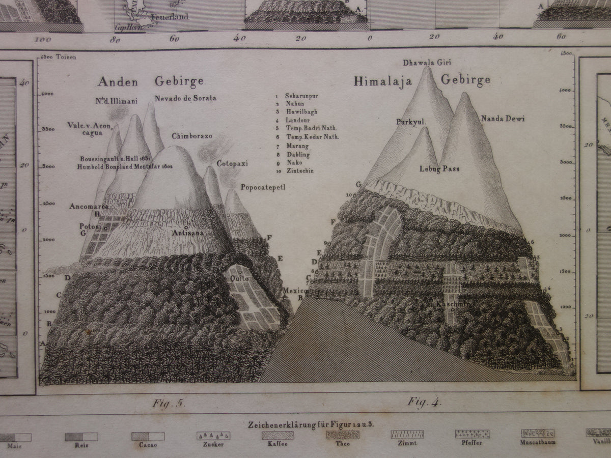 Antieke WERELDKAART oude kaart van de Wereld uit 1849 Landbouw Gewassen Agricultuur