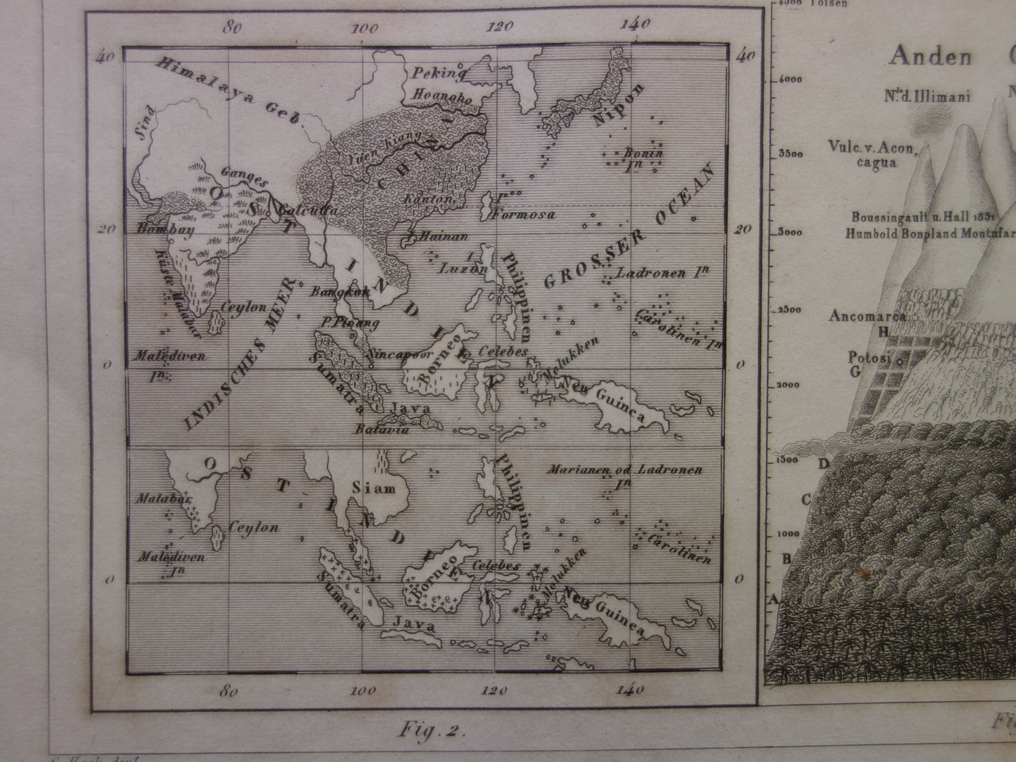Antieke WERELDKAART oude kaart van de Wereld uit 1849 Landbouw Gewassen Agricultuur