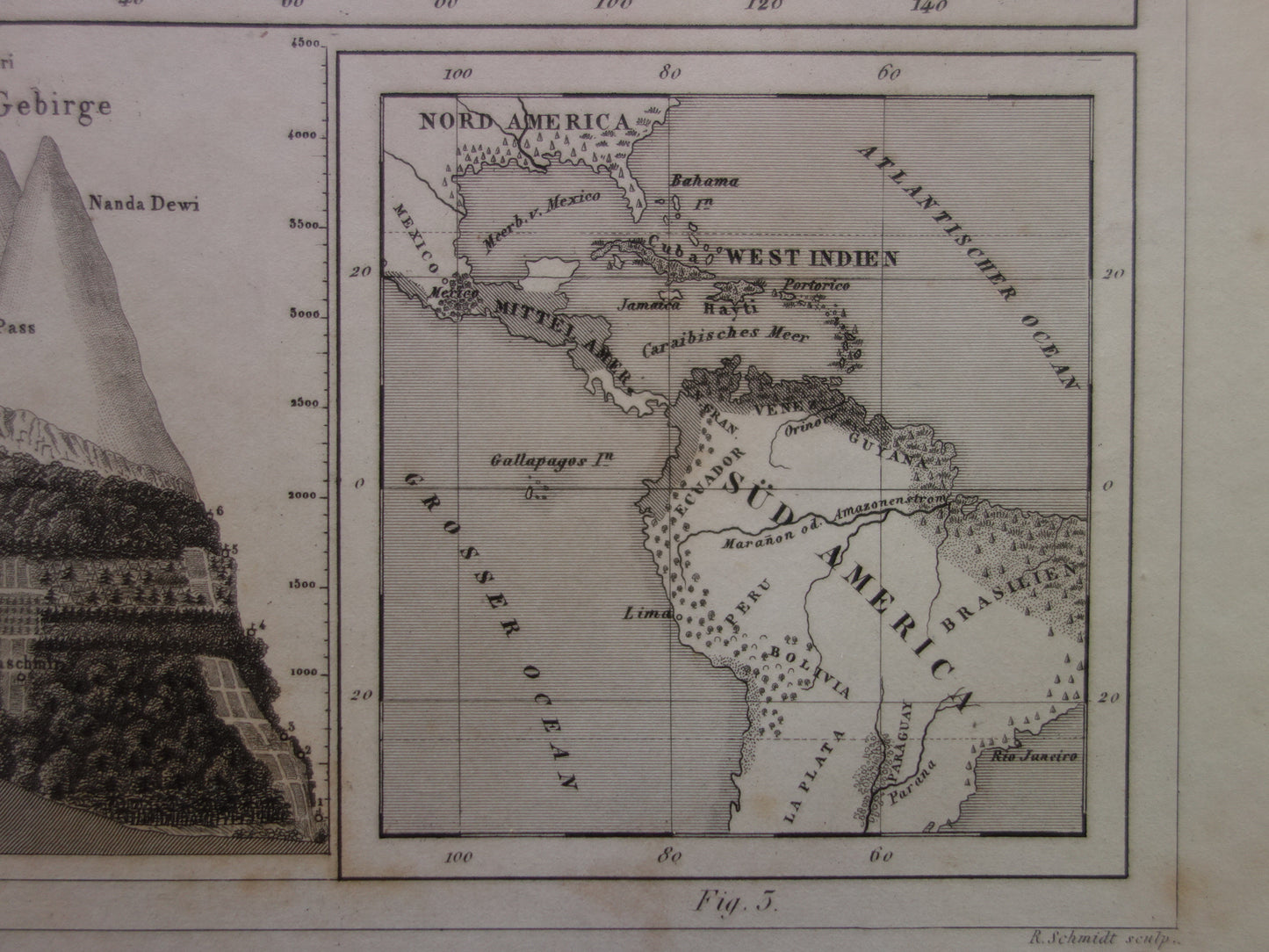 Antieke WERELDKAART oude kaart van de Wereld uit 1849 Landbouw Gewassen Agricultuur
