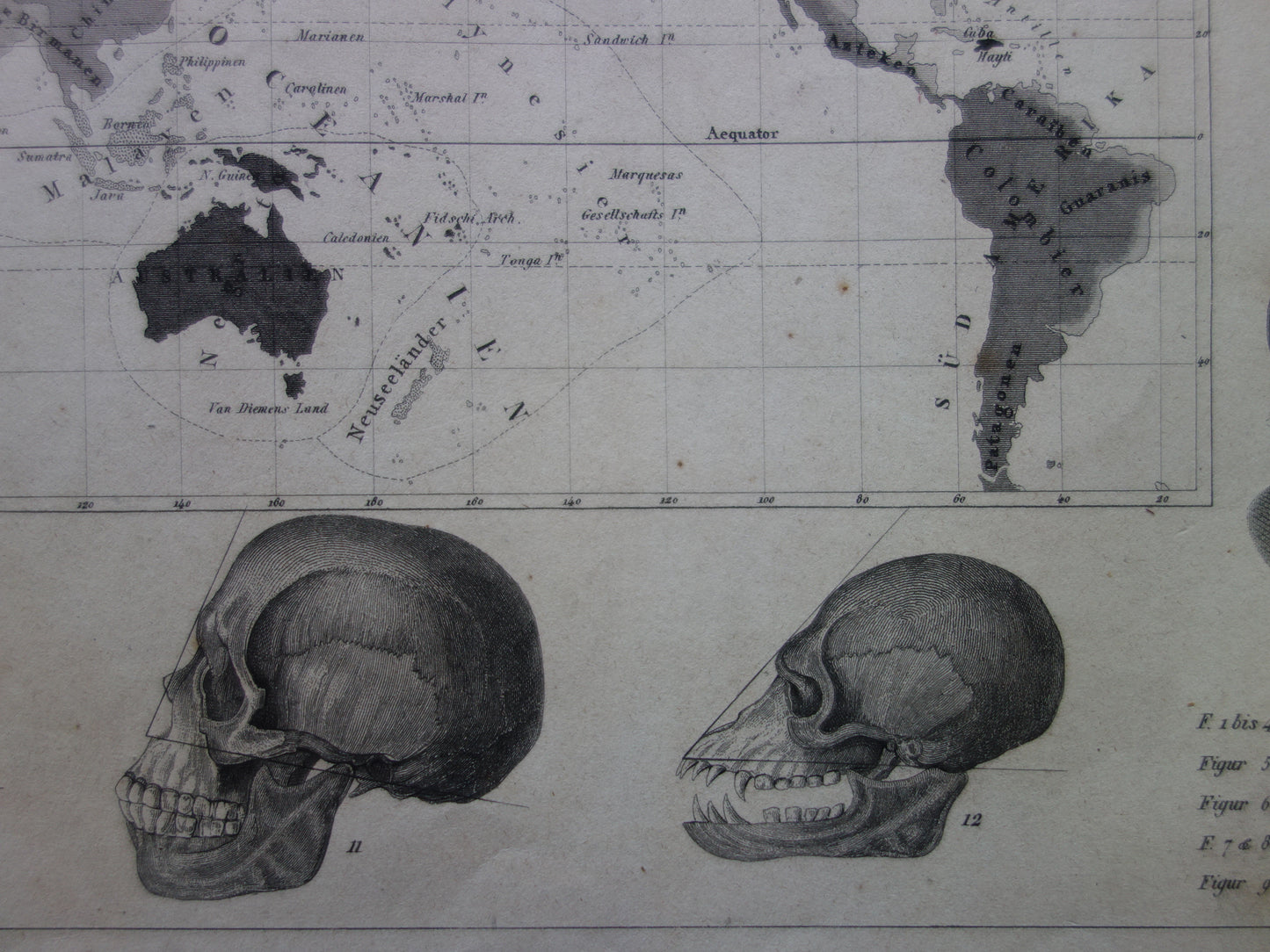 Vintage WERELDKAART oude kaart van de Wereld uit 1849 Antieke print Antropologie Menselijke Rassen