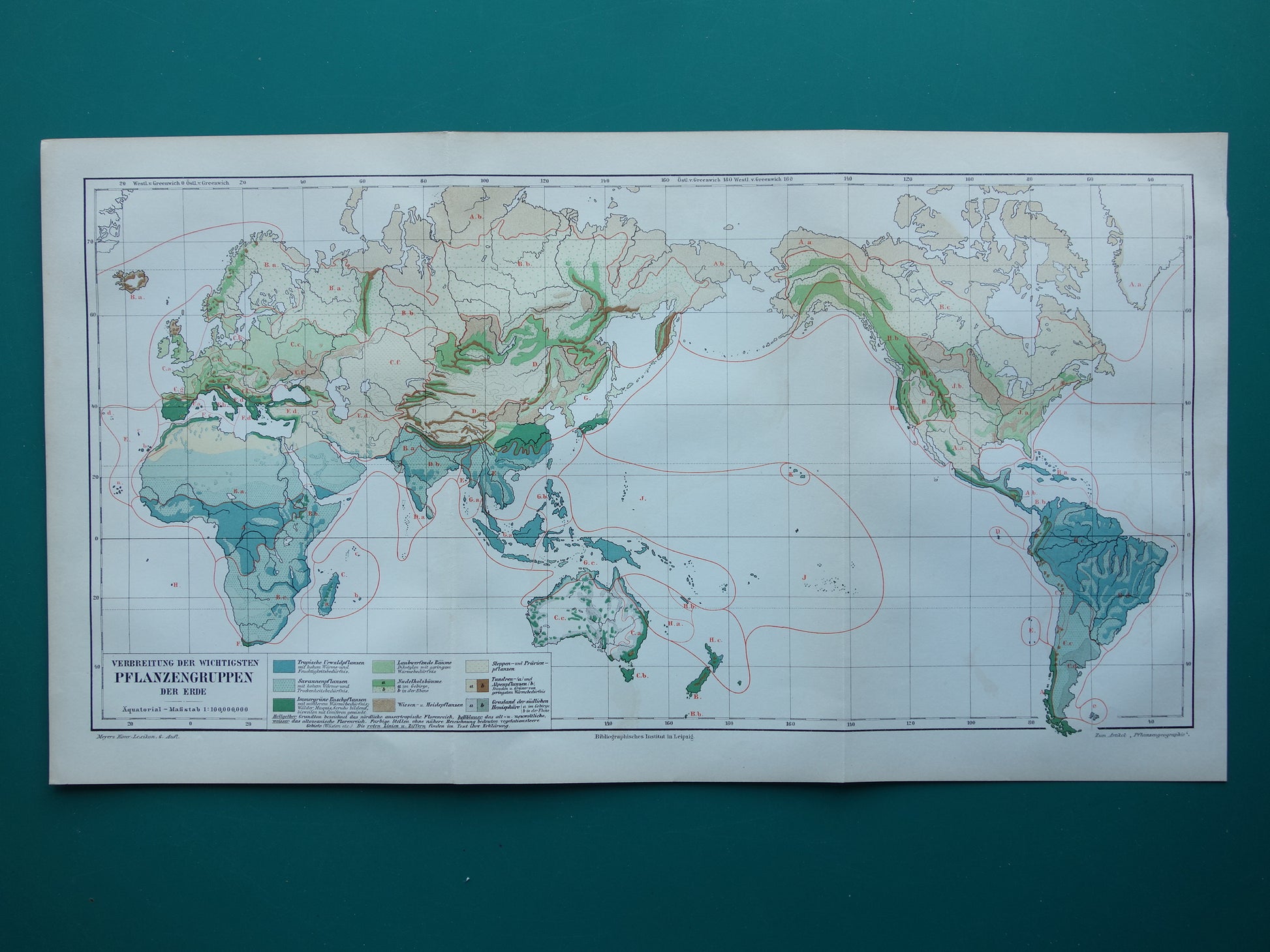 BOTANISCHE kaart van de wereld uit 1909 oude fytogeografie wereldkaart vintage print