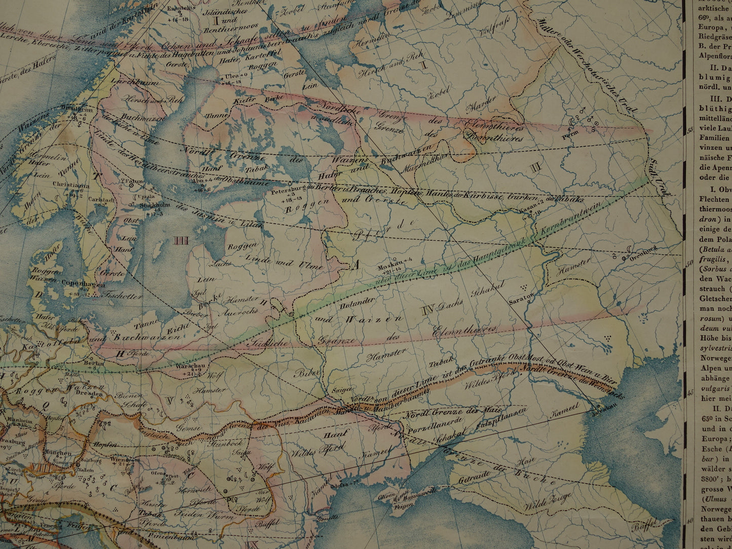 EUROPA grote oude kaart klimaat van Europa uit 1840 originele antieke landkaart Europees continent distributie planten dieren vintage poster