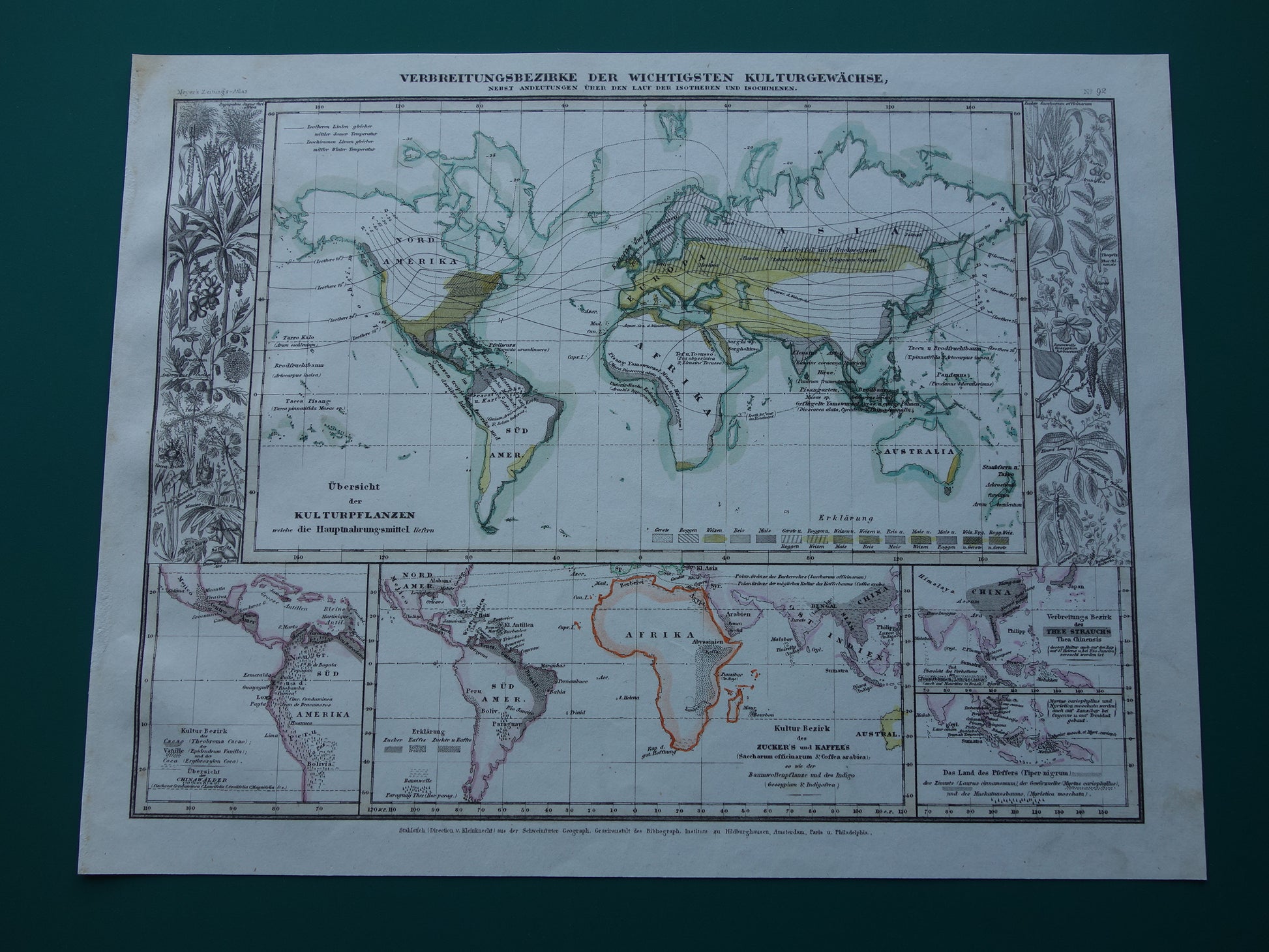 originele antieke wereldkaart plantkunde uit hat jaar 1850
