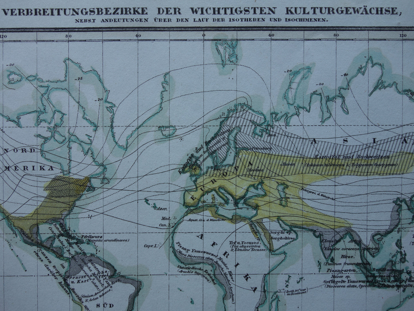 BOTANISCHE WERELDKAART 1850 oude handgekleurde fytogeografie kaart over gecultiveerde planten antieke plantkunde landkaart vintage gewassen plantengeografie