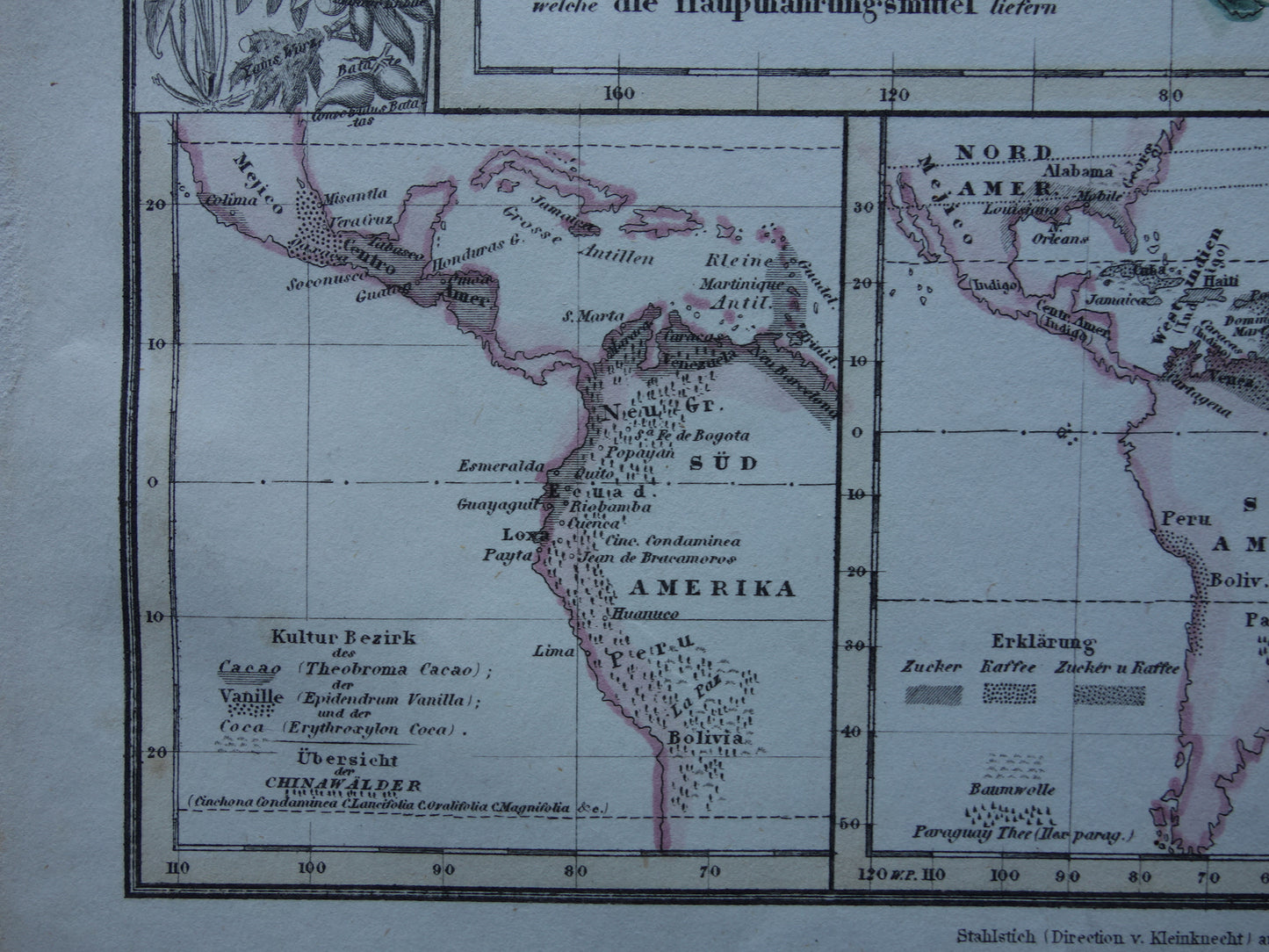BOTANISCHE WERELDKAART 1850 oude handgekleurde fytogeografie kaart over gecultiveerde planten antieke plantkunde landkaart vintage gewassen plantengeografie