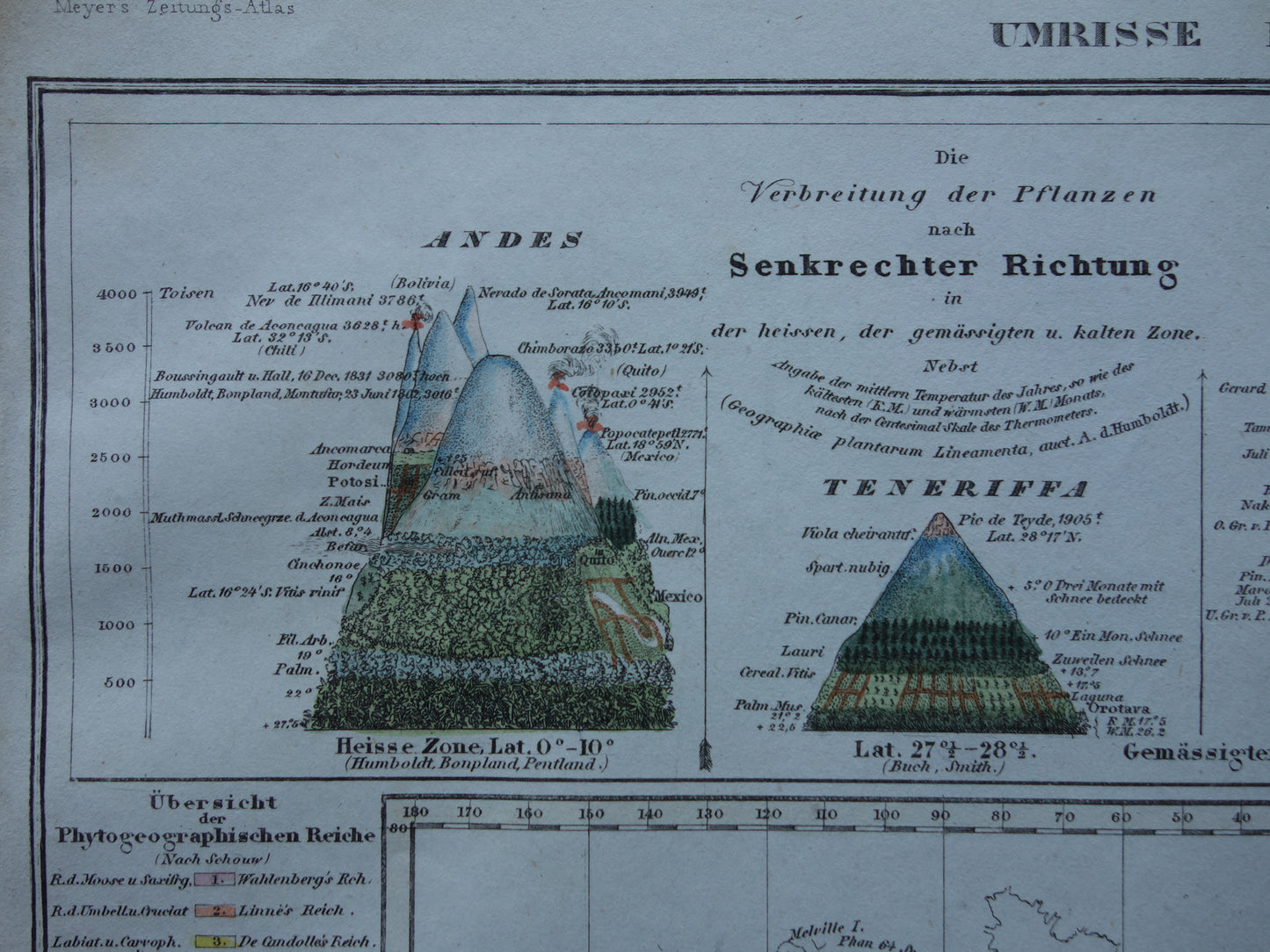 BOTANISCHE kaart van de wereld uit 1850 oude handgekleurde fytogeografie wereldkaart - bergtoppen Himalaya Alpen vintage print