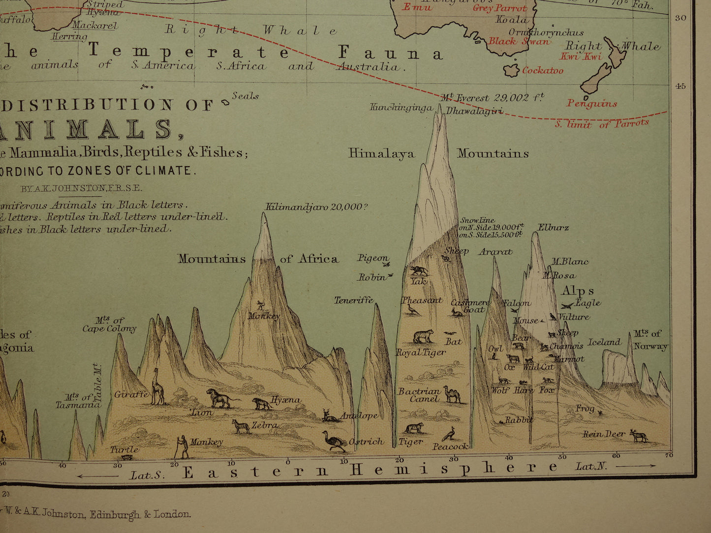 Oude wereldkaart over verdeling van dieren geïllustreerd met bergtoppen Originele antieke Engelse kaart Vintage fauna landkaarten