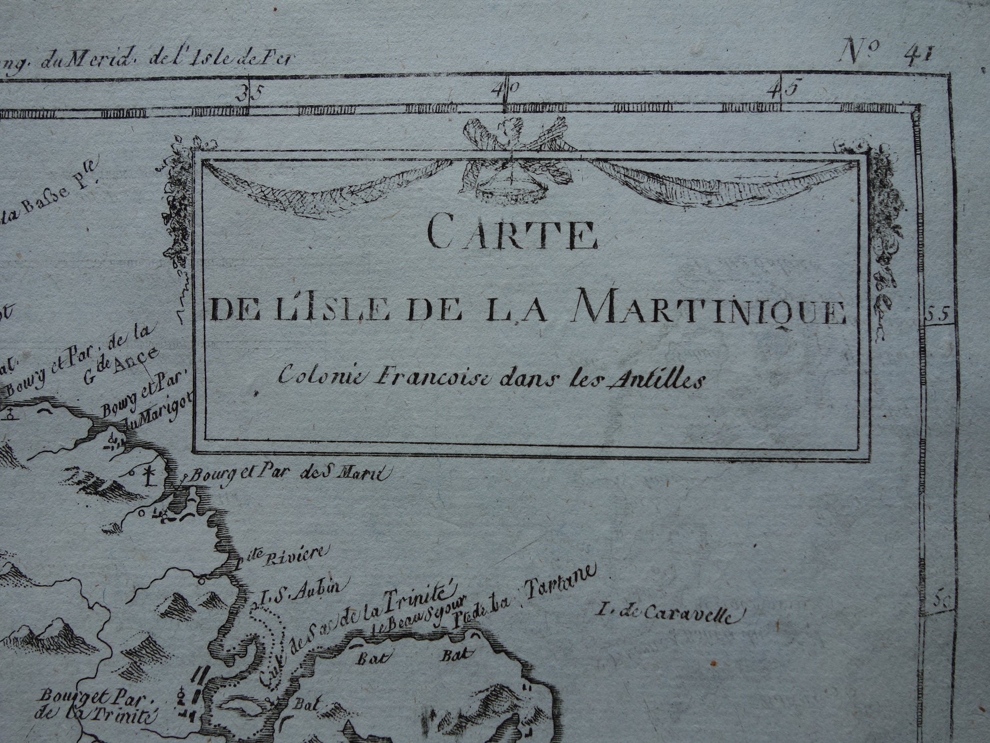  carte de l'isle de la martinique colonie Francoise dans les Antilles Bonne Raynal map