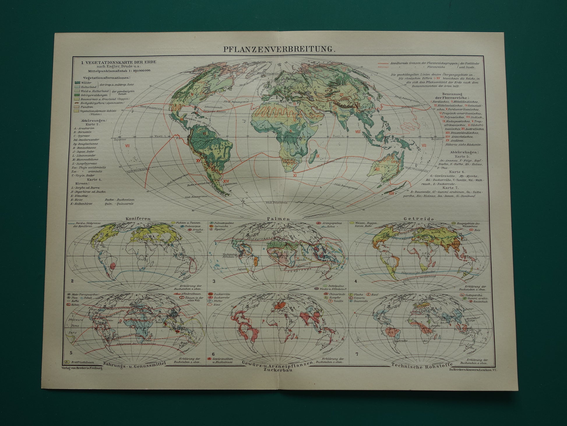 BOTANISCHE WERELDKAART 1921 oude Duitse fytogeografie kaart over gecultiveerde planten antieke plantkunde landkaart vintage gewassen plantengeografie