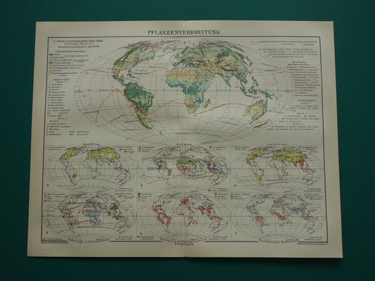 BOTANISCHE WERELDKAART 1921 oude Duitse fytogeografie kaart over gecultiveerde planten antieke plantkunde landkaart vintage gewassen plantengeografie