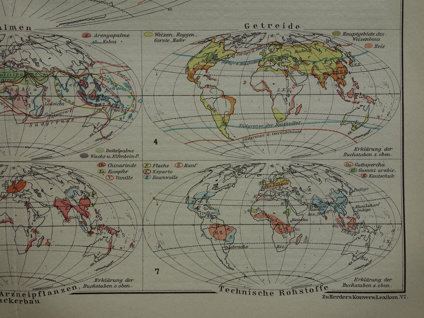 BOTANISCHE WERELDKAART 1921 oude Duitse fytogeografie kaart over gecultiveerde planten antieke plantkunde landkaart vintage gewassen plantengeografie